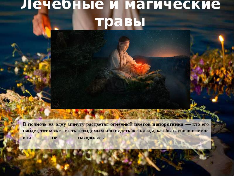 Лечебные и магические травы
В полночь на одну минуту расцветал огненный Лечебные и магические травы
В полночь на одну минуту расцветал огненный