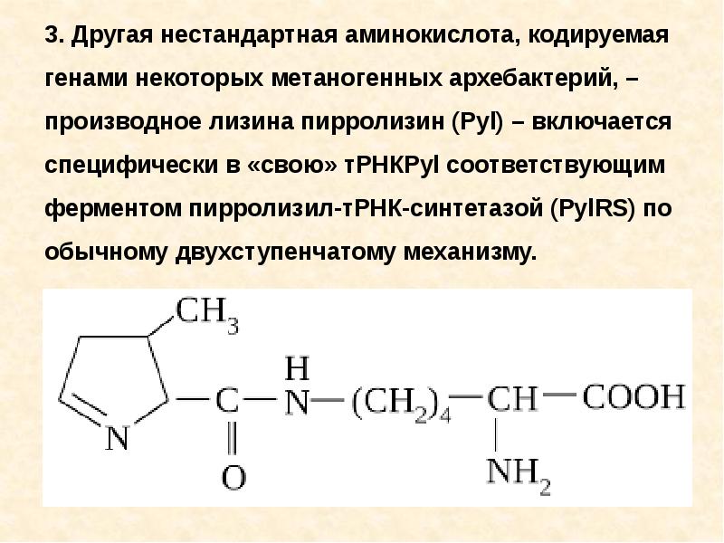 Ага аминокислота. Пирролизин аминокислота. Пирролизин и селеноцистеин. Неканонические аминокислоты. Пирролизин аминокислота формула.