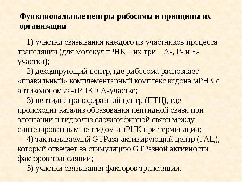 Д р с х н. Функционально активные центры рибосом. Функции активных центров рибосом. Образование функционально активной рибосомы. Функциональные участки рибосом.