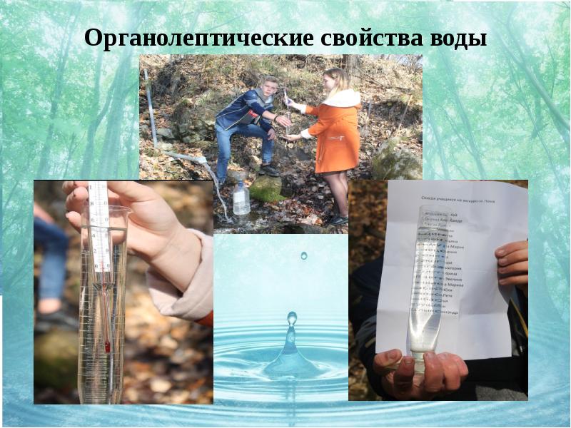 Органолептические свойства воды презентация