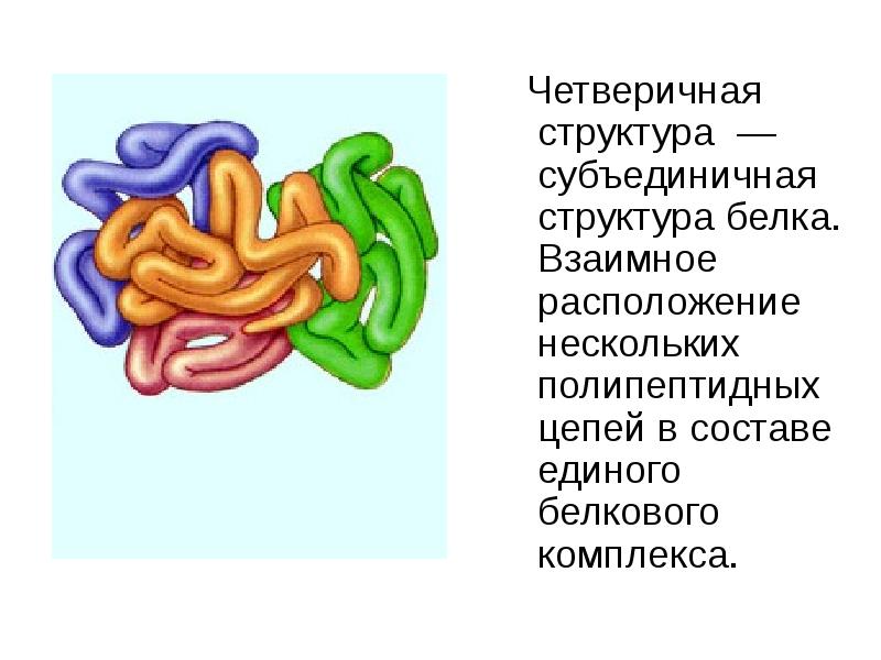 Моделирование белков презентация