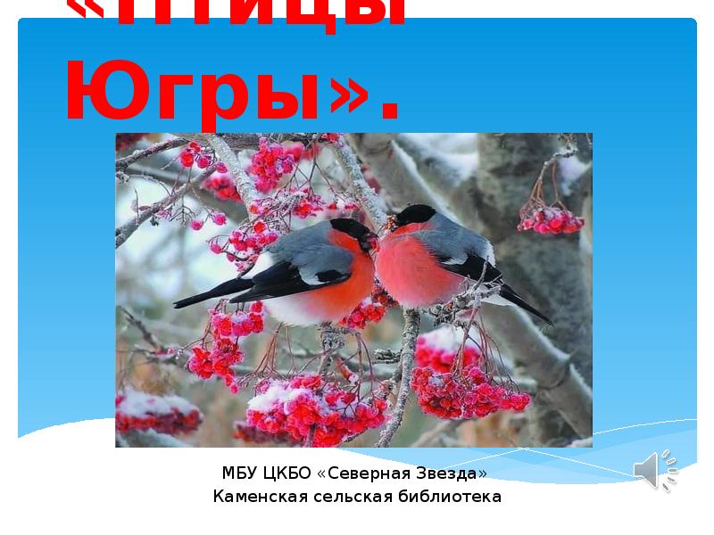 «Птицы Югры». МБУ ЦКБО «Северная Звезда» Каменская сельская библиотека