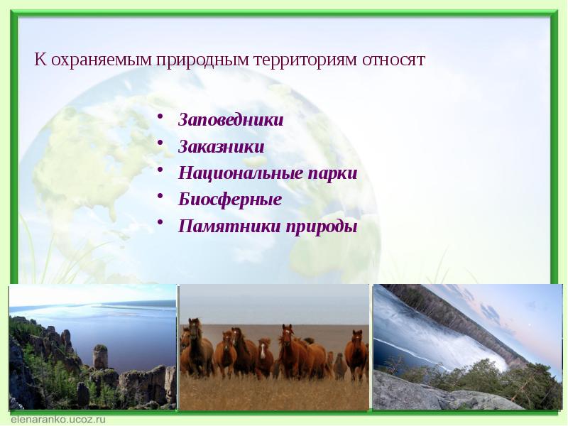 Заповедники заказники национальные парки памятники природы презентация