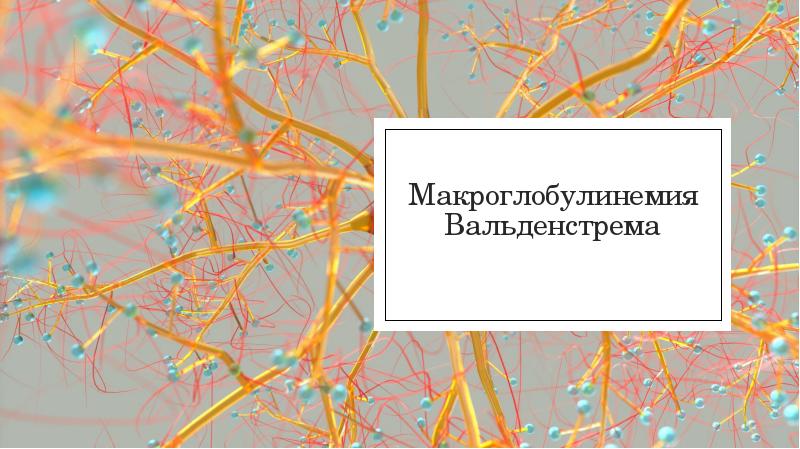 Болезнь вальденстрема презентация