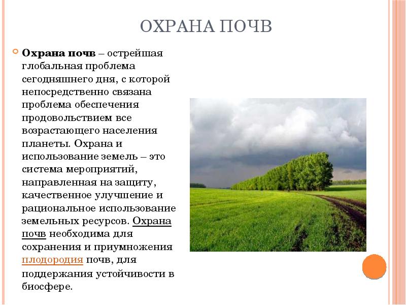 Презентация почвенные ресурсы россии 8 класс география