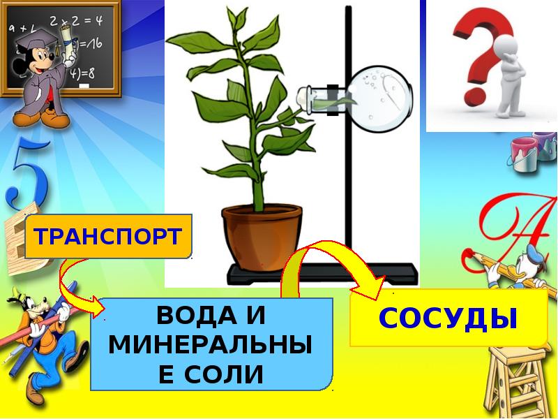 Презентация передвижение по воде технология 1 класс презентация