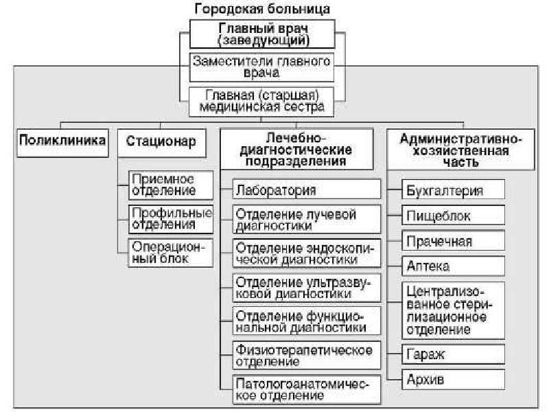 Структура детской поликлиники схема