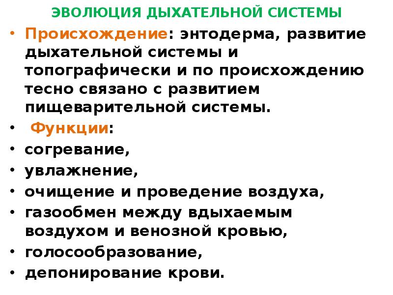 Описание эволюционного развития организмов метод. Синтетическая теория эволюции. Синтетическая теория эволюции картинки. С. С. Четверикова теория синтетической эволюции в. Эволюция дыхания.