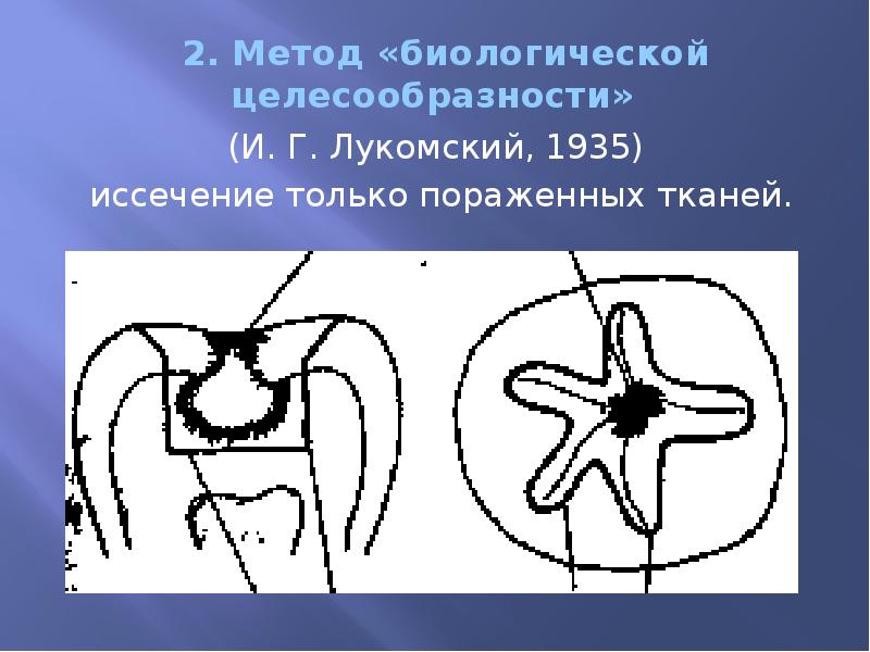 2. Метод «биологической целесообразности»   (И. Г. Лукомский, 1935) 
