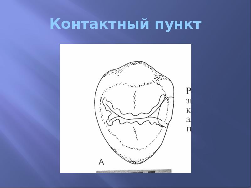 Контактный пункт презентация