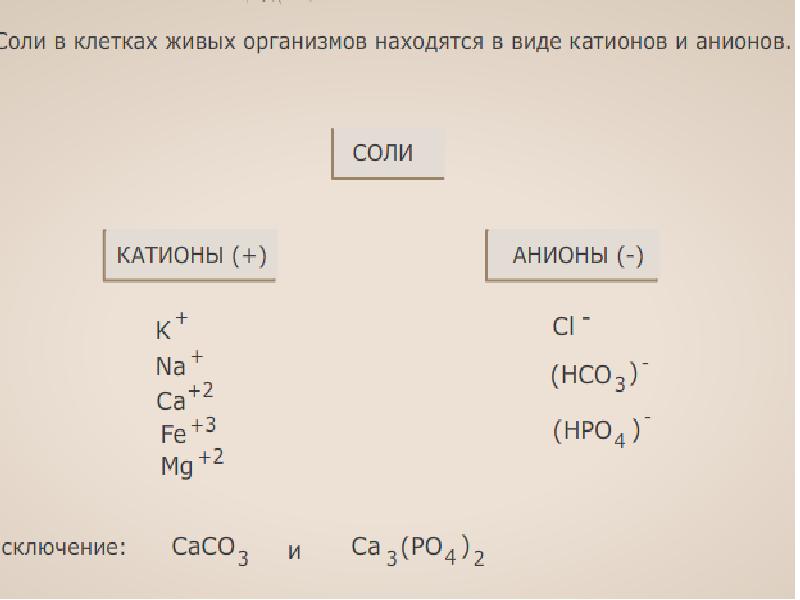 Cs2 химия