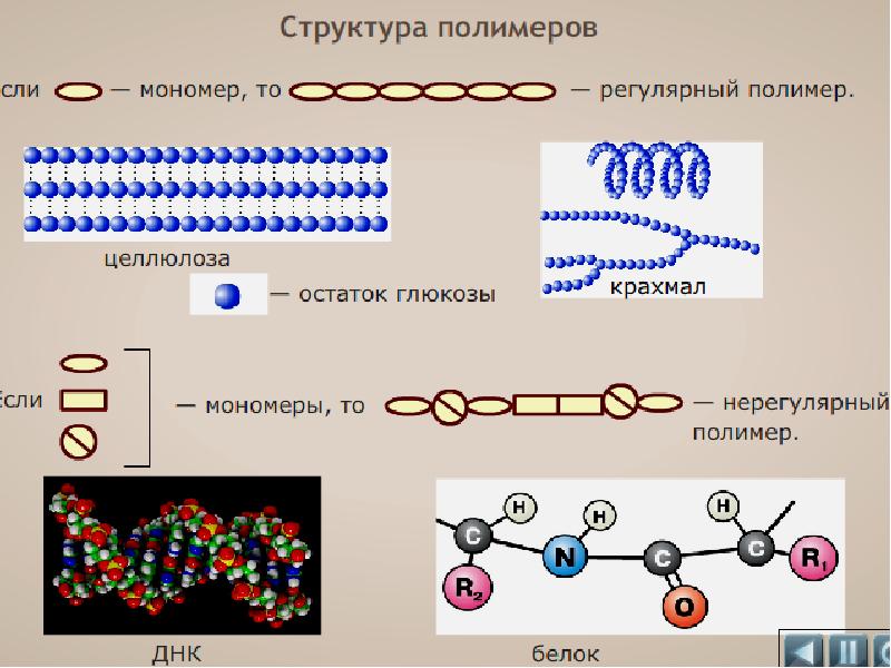 Структура полимеров схема