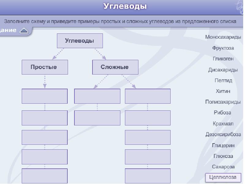 Заполните схему животные. Схема структурной организации клетки. Заполните схему химической организации. 2. Методы исследования структурной организации клетки:с. Квест химическая организация клетки презентация.