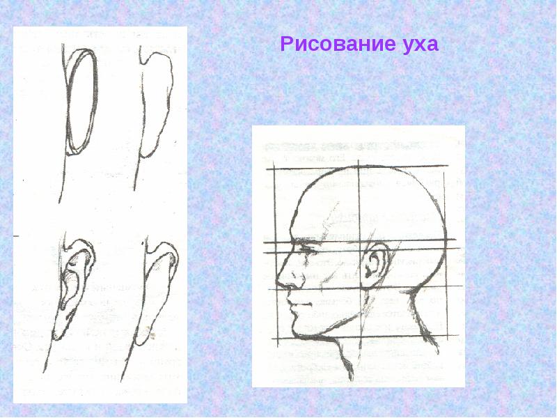 Мудрость старости презентация по изо 4 класс поэтапное рисование