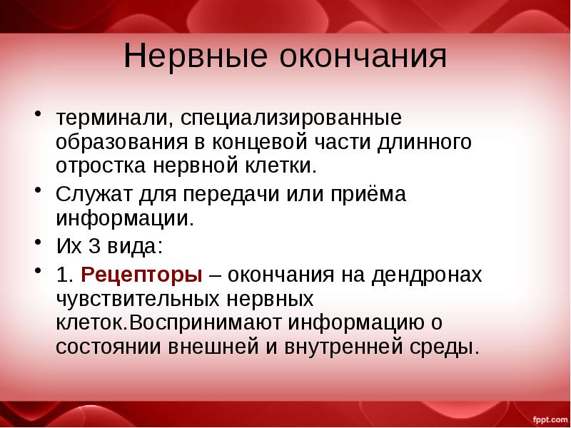 Конечное образование. Терминали нервных окончаний. Эффекторное нервное окончание образовано терминалью.