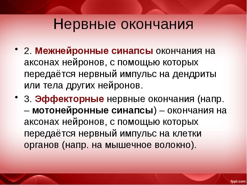 Эффекторные Нейроны ударение. Межнейронные окончания это. Понятие о нервно окончании.