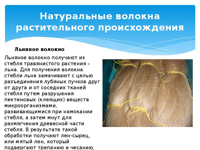 Натуральные волокна растительного происхождения