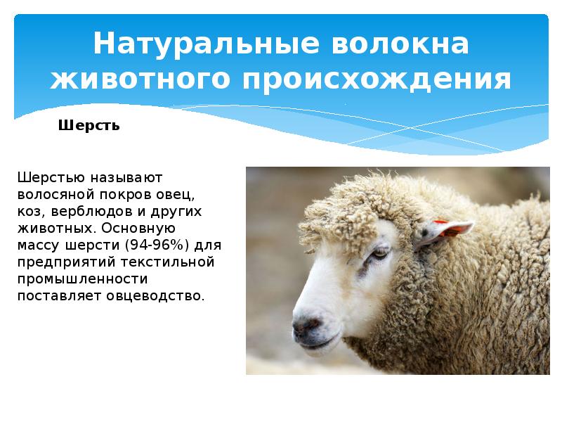 Натуральные волокна животного происхождения