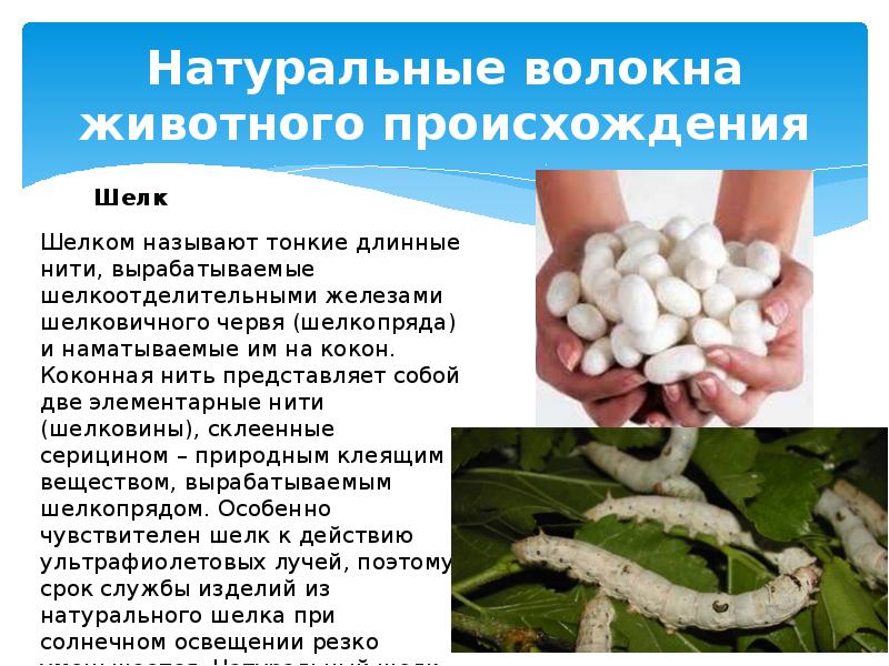 Натуральные волокна животного происхождения