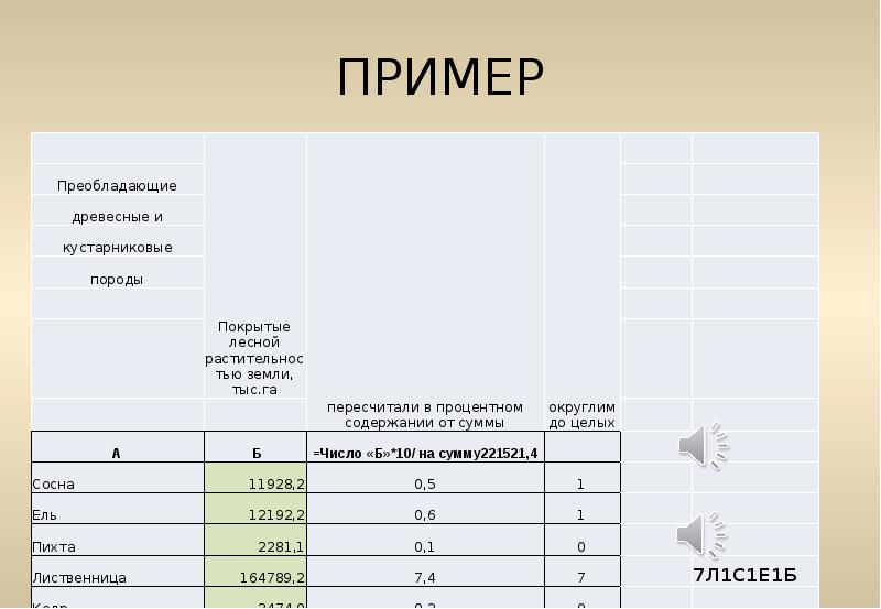 Проект основания лесов