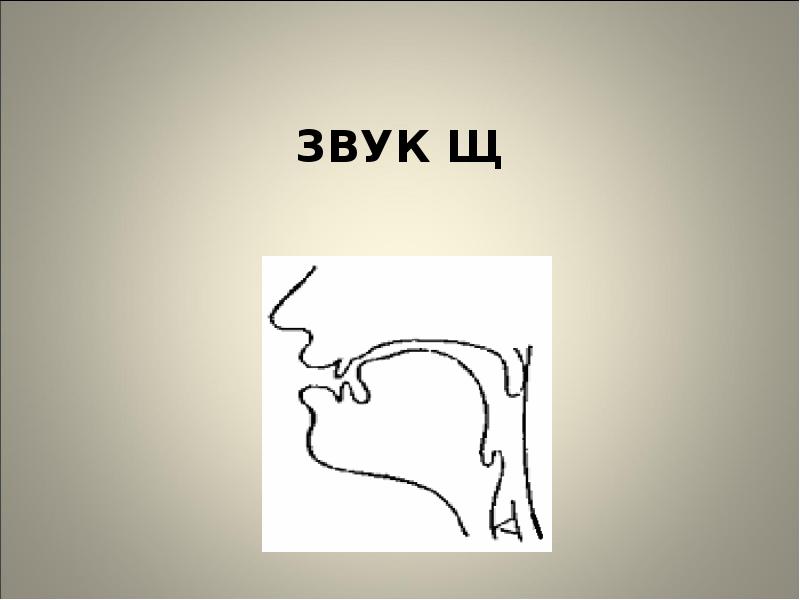 Артикуляция звука ш в картинках для детей