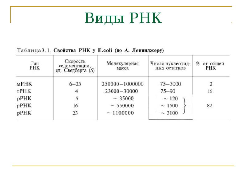 Виды РНК