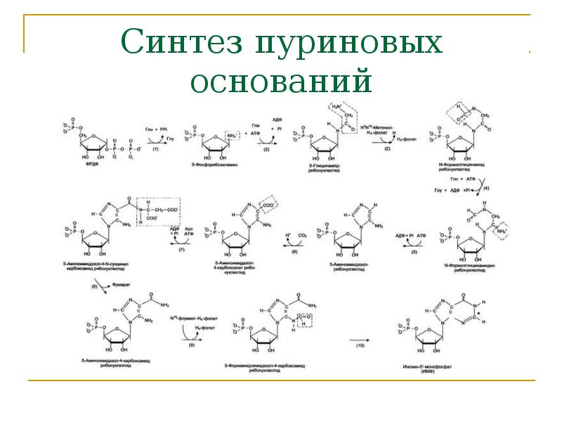 Синтез пуриновых оснований