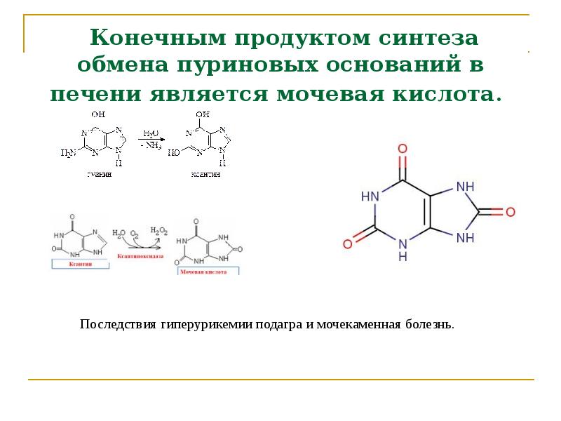 Конечным продуктом синтеза обмена пуриновых оснований в печени является мочевая кислота.&nbsp;