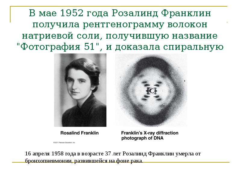 В мае 1952 года Розалинд Франклин получила рентгенограмму волокон натриевой соли,