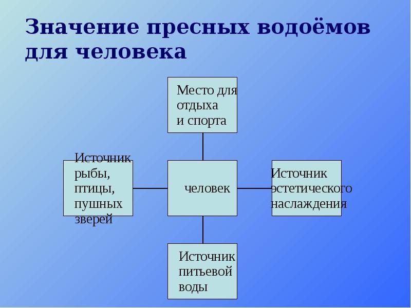 Заполни схему роль водоемов в природе и жизни человека 4 класс