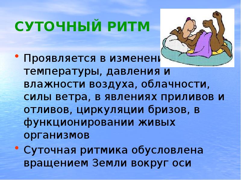 Суточные ритмы у животных примеры. Суточные ритмы проявляются у всех живых существ. Виды биоритмов схема. Суточные ритмы проявляются у всех живых существ. Биоритмы человека.