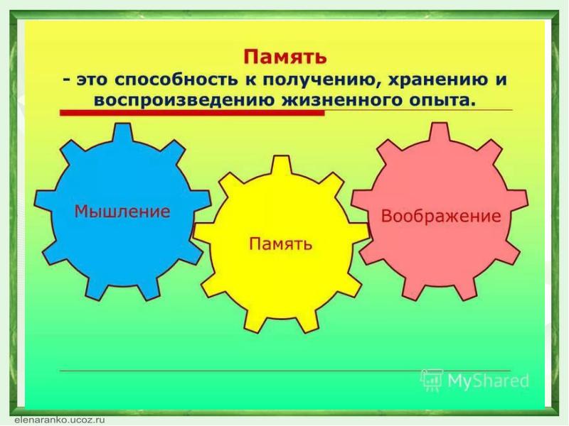 Мышление память воображение. Способность к получению хранению и воспроизведению жизненного опыта. Мышление память воображение картинки. Воображение и память в психологии.