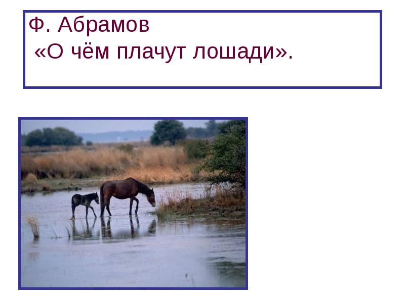 Ф абрамов о чем плачут лошади презентация 7 класс