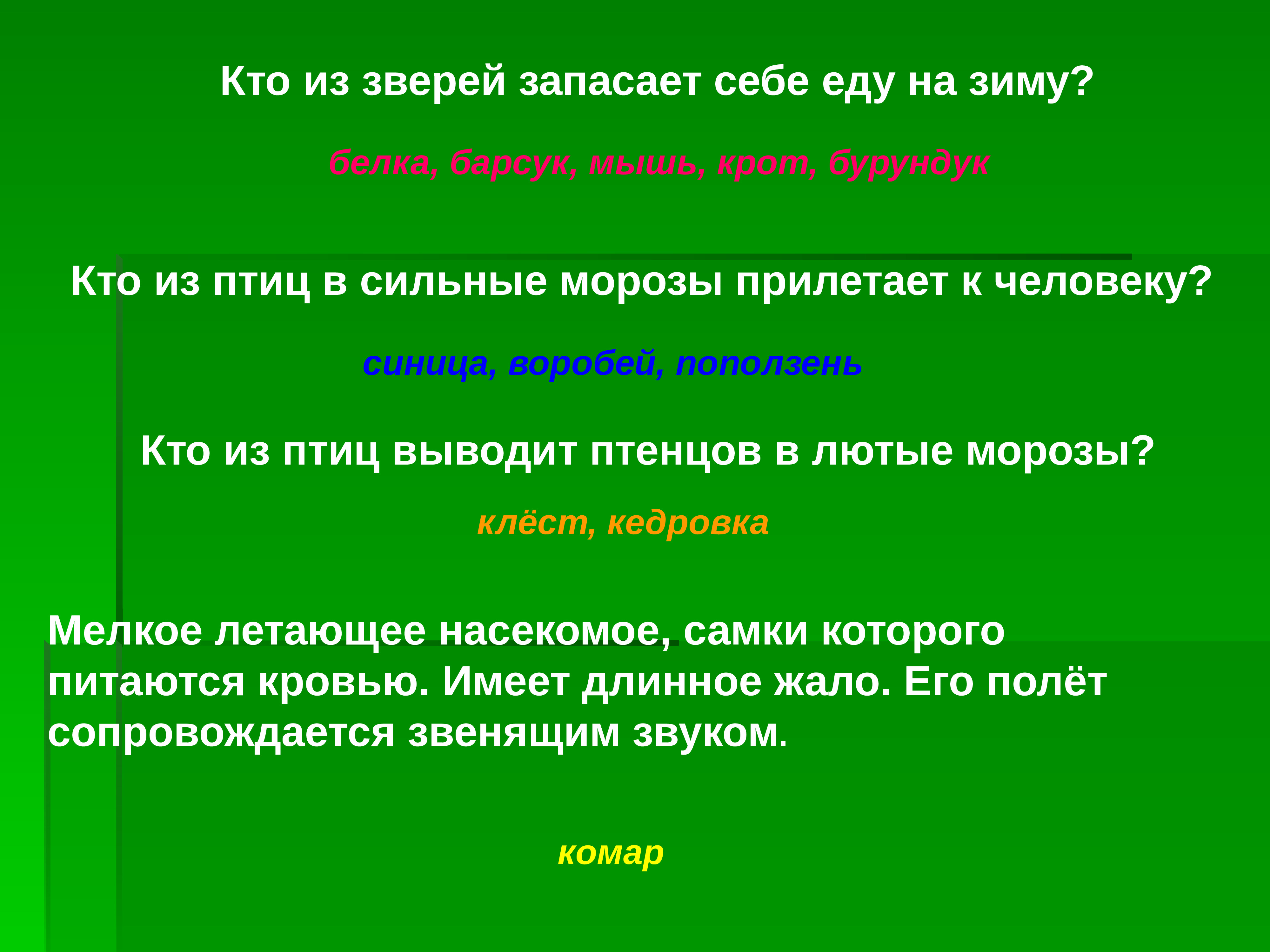 Законы леса. Исследовательская работа тема жизнь леса. Минусы жизни в лесу. Плюсы жизни в лесу.