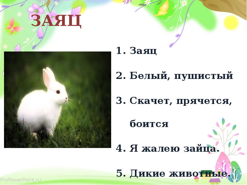 Белый заяц текст. Стихи про зиму и животных для детей. Заяц белый куда бегал. Стих заяц белый заяц белый. Белый заяц текст.