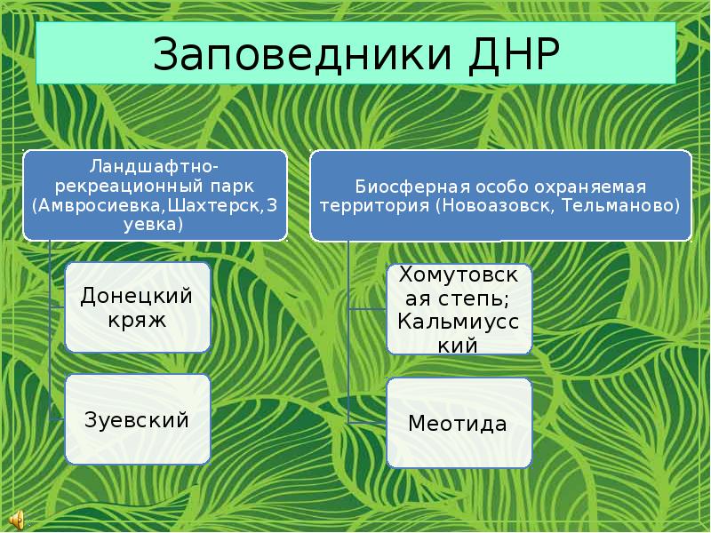 Заповедники днр презентация