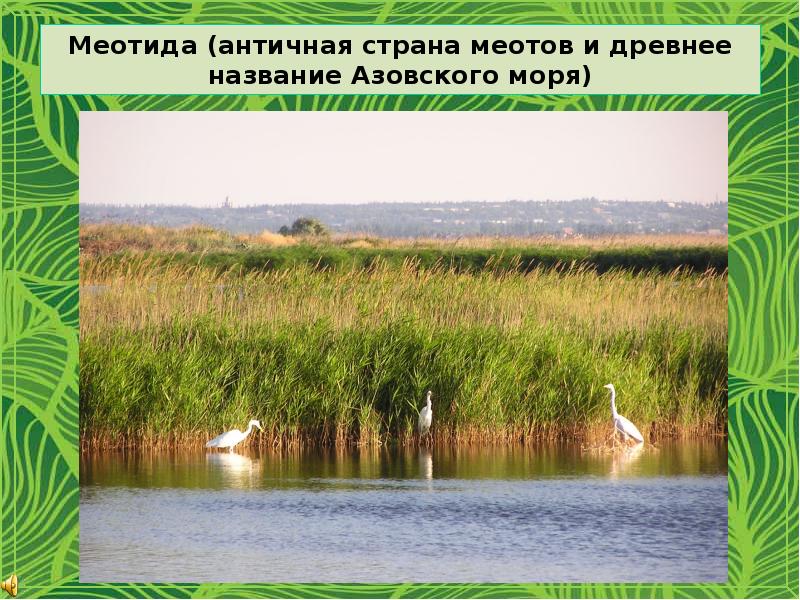 Меотида (античная страна меотов и древнее название Азовского моря) Меотида (античная страна меотов и древнее название Азовского моря)