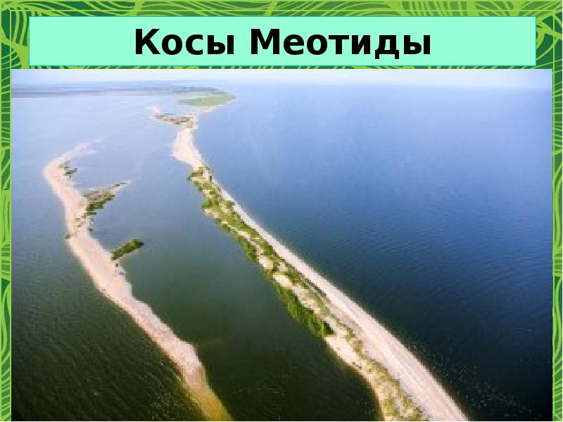 Косы Меотиды Косы Меотиды