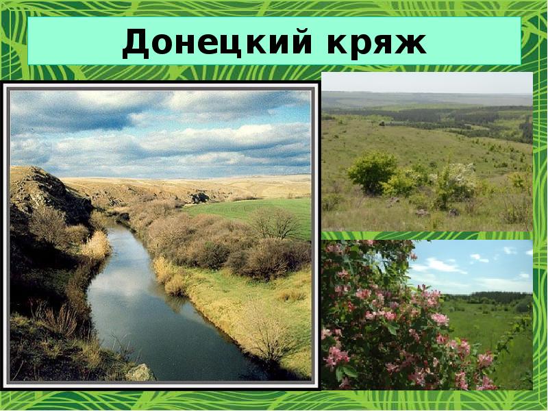 Заповедник донецкий кряж фото и рассказ