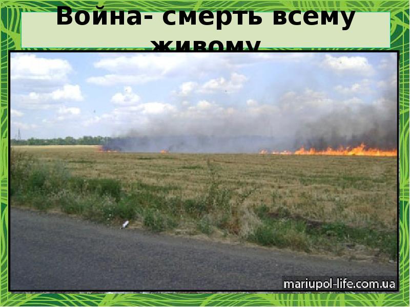 Война- смерть всему живому Война- смерть всему живому