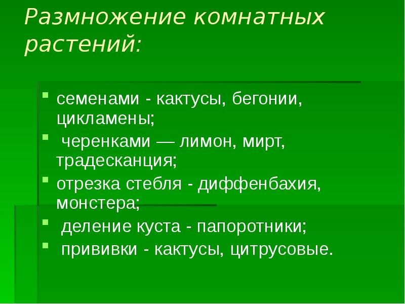 Разновидности комнатных растений презентация