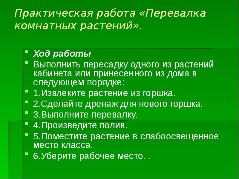 Разновидности комнатных растений презентация