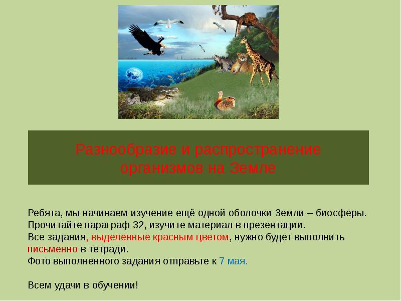 Разнообразие и распространение организмов на земле 6 класс презентация