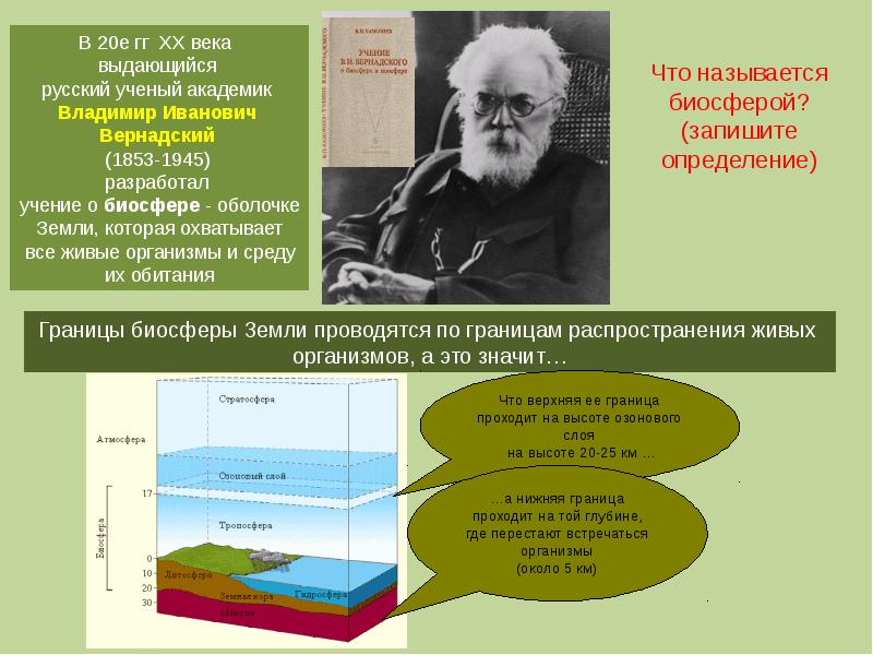 Назовите область максимального распространения организмов на земле. Учение о биосфере в 20 веке. Разнообразие и распространение организмов на земле. Кто разработал учение о географической оболочке.