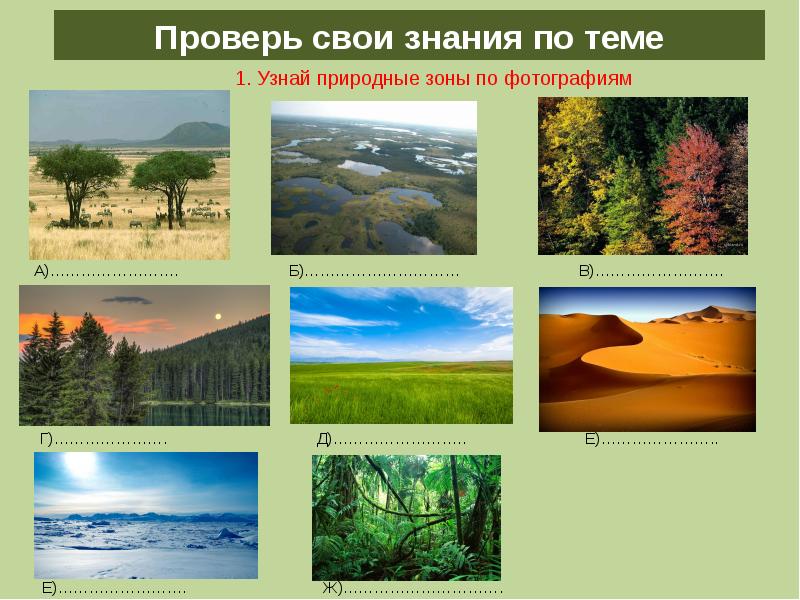 Примеры растений в разных природных зонах. Природные зоны. Разнообразие природных зон. Изображение природных зон. Природные зоны земли.