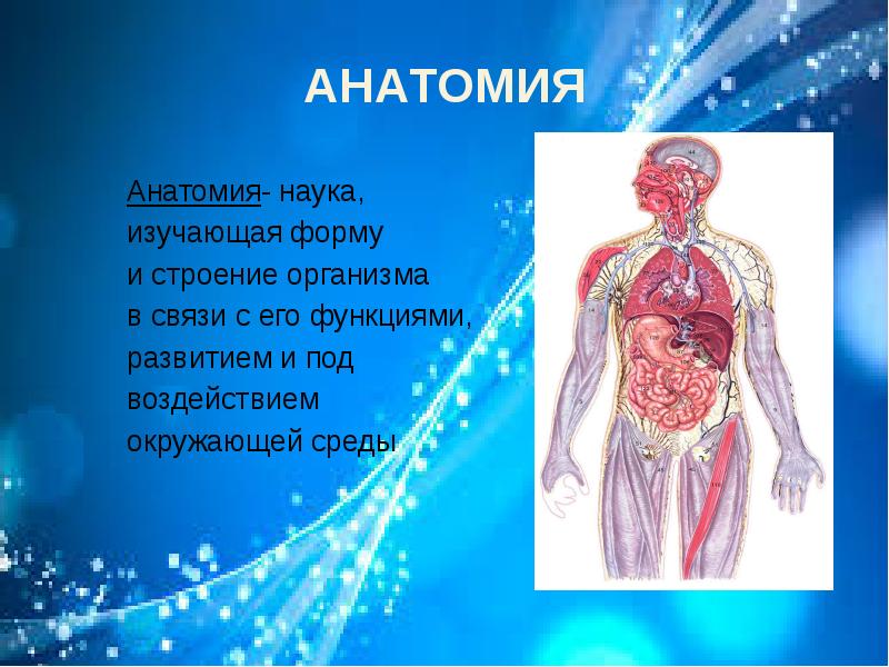 Знает строение организма