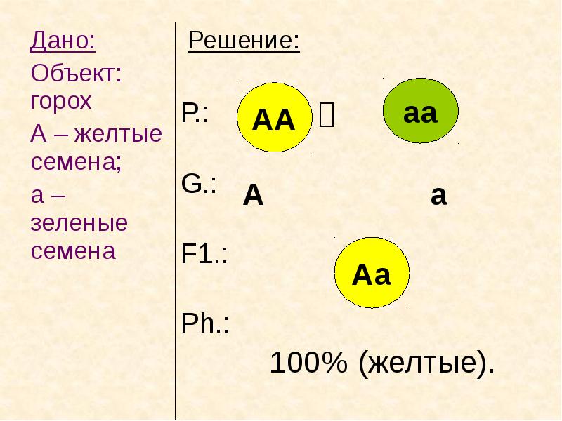 Аа х. АА АА. Закон цвета глаз Грегора Менделя. Мендель таблица объект горох дано 3 закон.