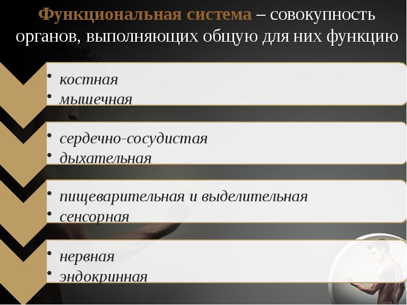 Совокупность органов