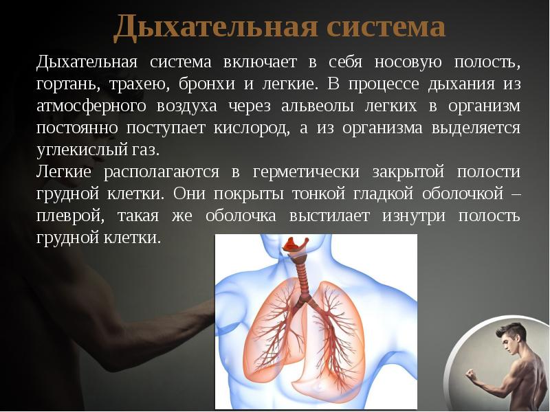 Защитные функции дыхательной системы
