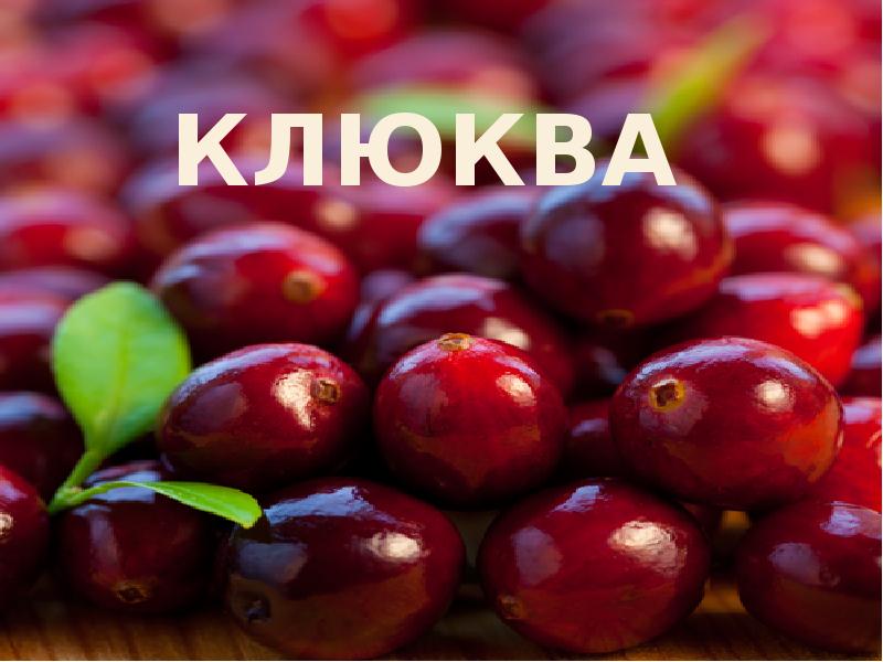 Презентация о клюквенном морсе